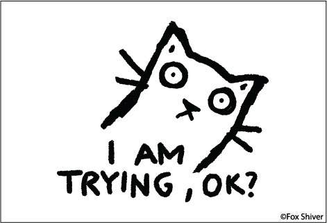 MAGNET: I AM TRYING OK