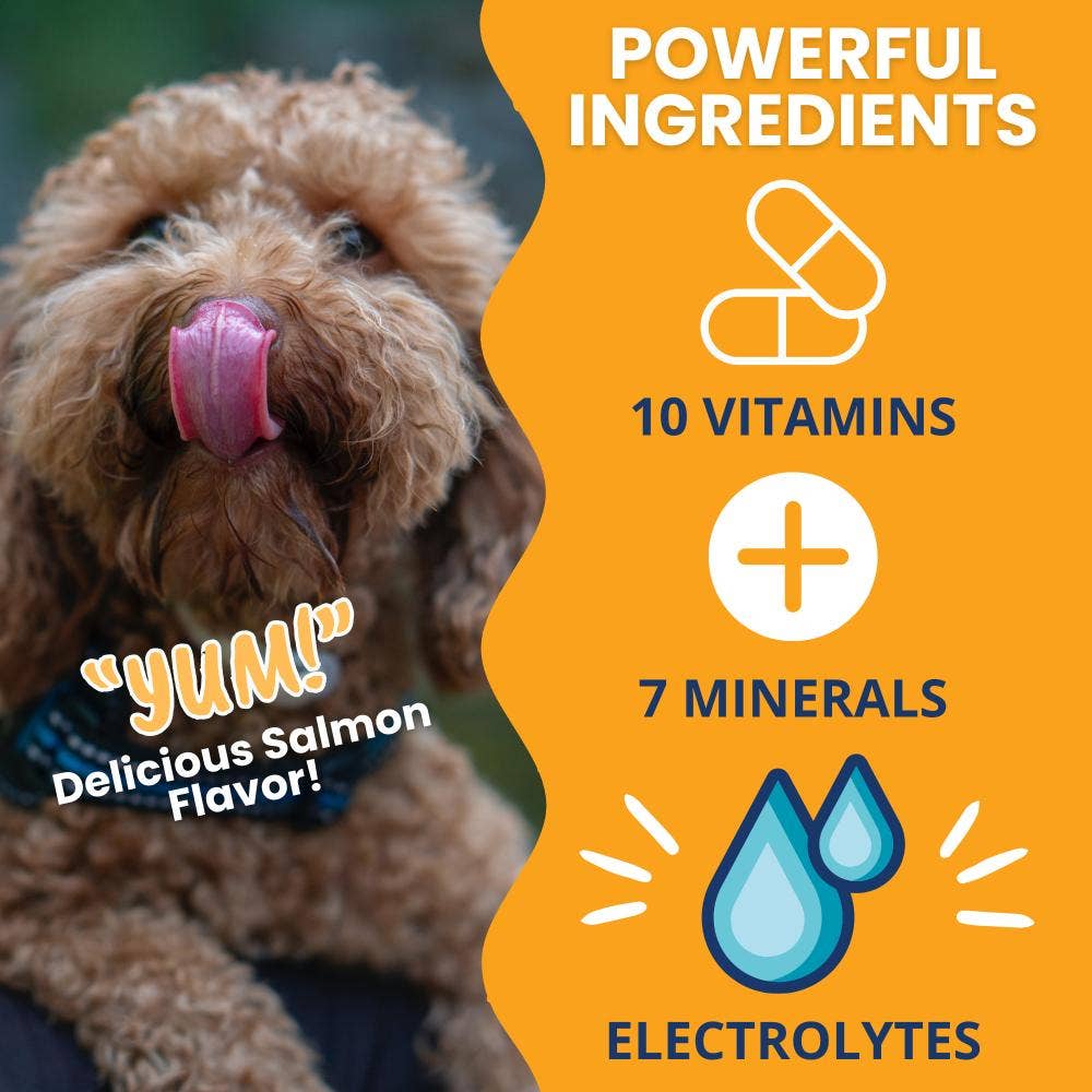 Under the Weather Ready Cal Plus w/Electrolytes Squeezable
