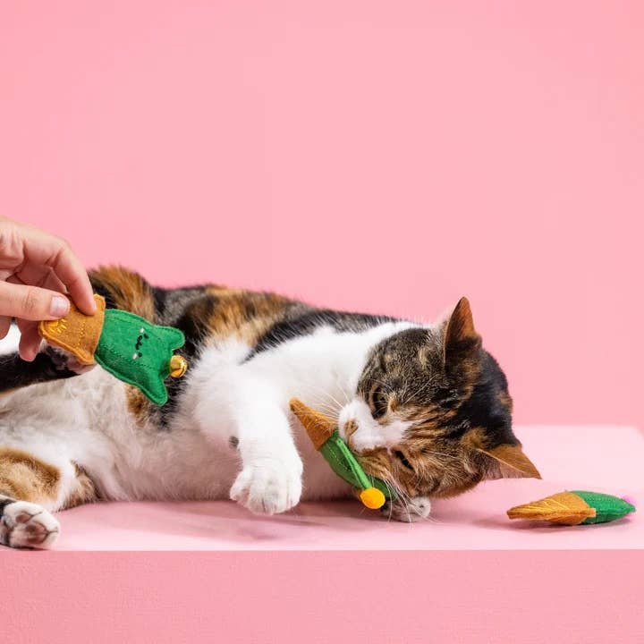 PetShop by Fringe Studio Cat-us Friends Cat Toys Set 3pc