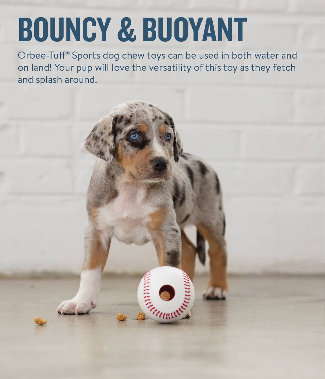 Planet Dog Orbee-Tuff Baseball Treat-Dispensing Dog Chew Toy