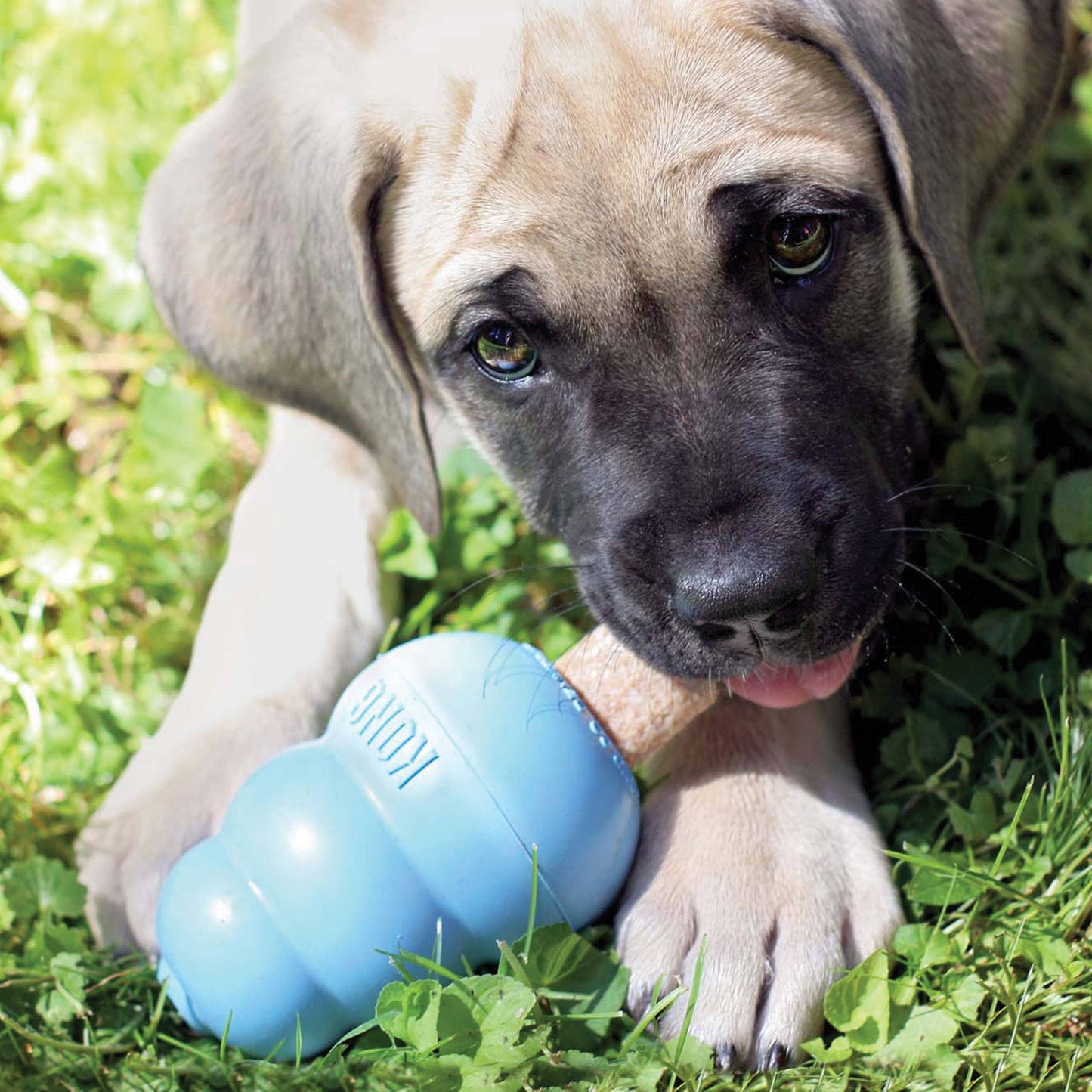 KONG® Ziggies® Puppy Small