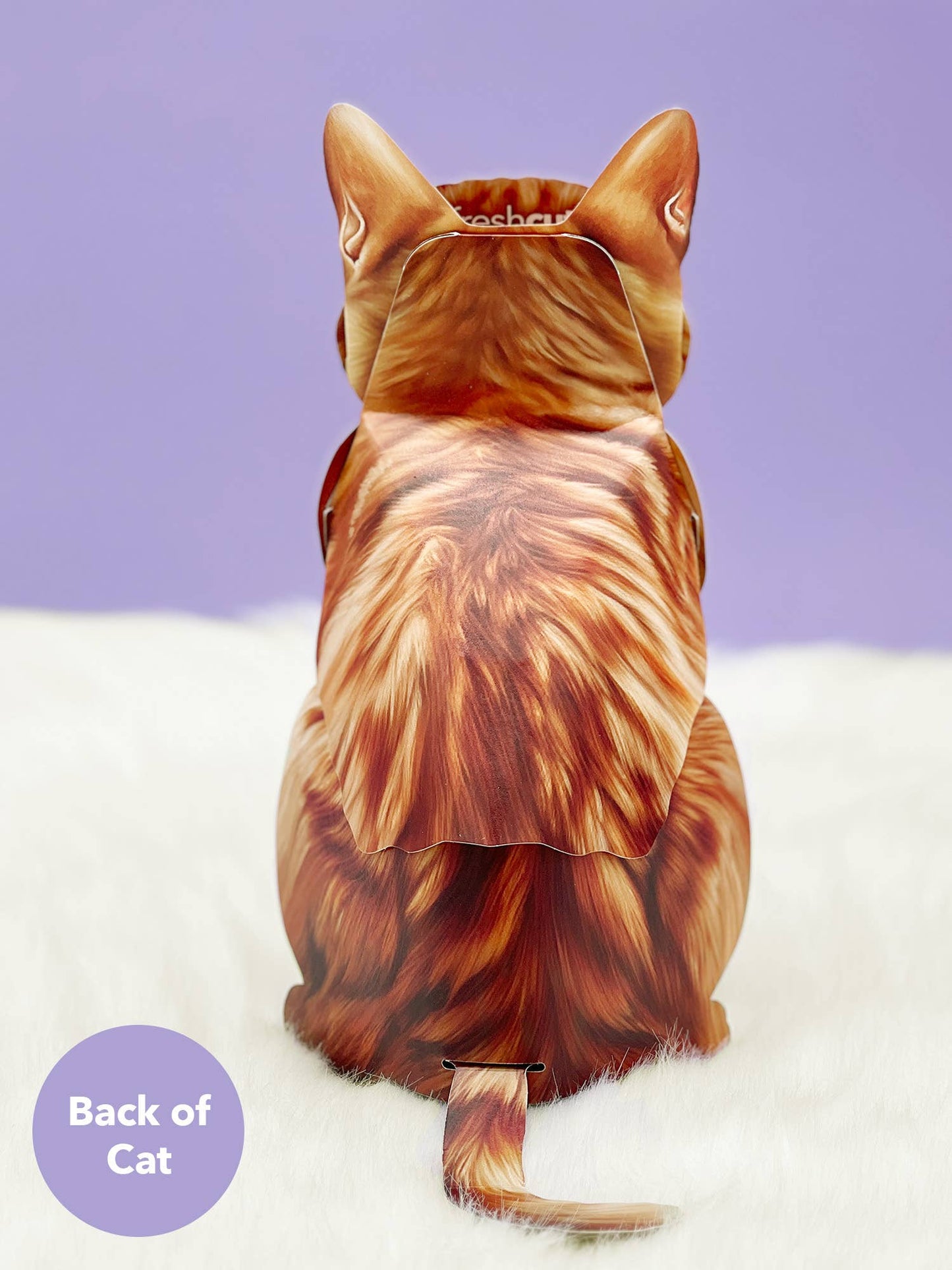 Orange Tabby (1 Pop-up Greeting Card)