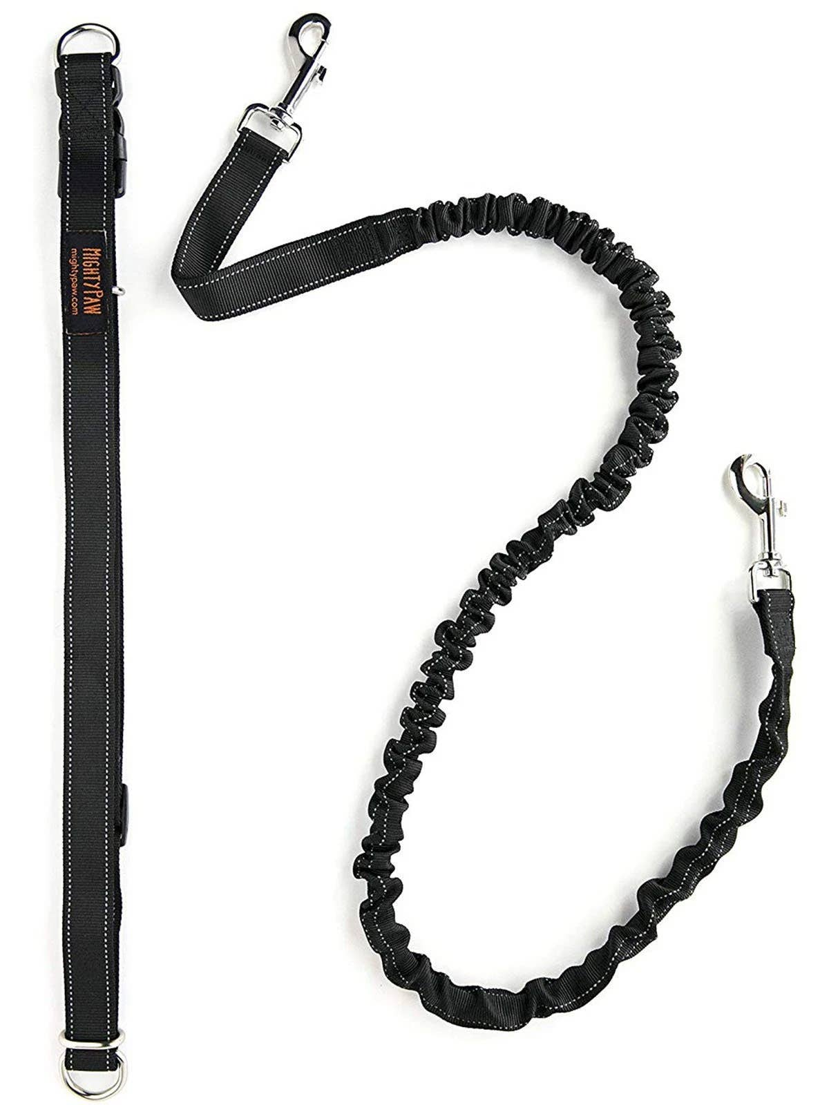 Hands Free Bungee Leash Set