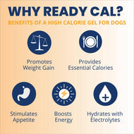 Under the Weather Ready Cal Plus w/Electrolytes Squeezable