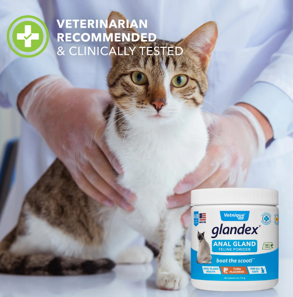 Glandex Feline Anal Gland Support Powder - Tuna Flavor