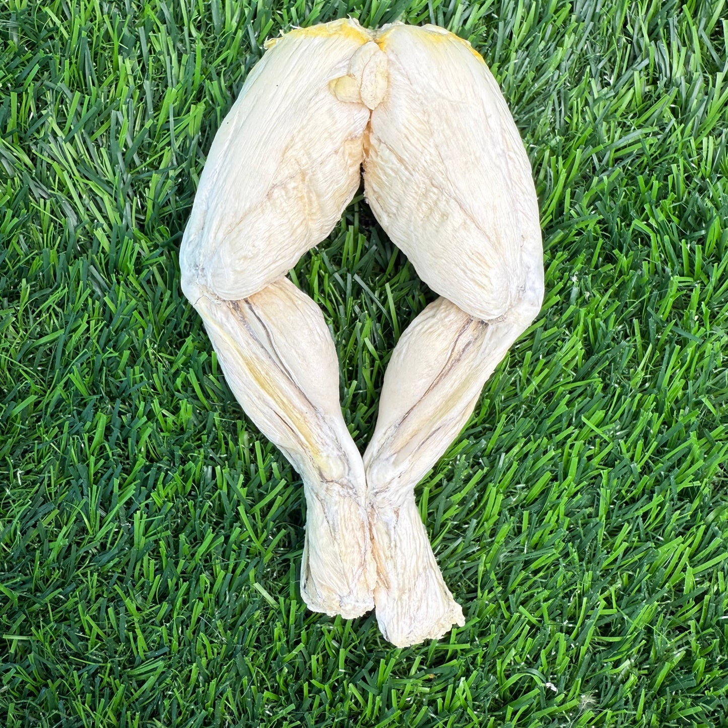 Frog Leg - Bag of 4 -Freeze-Dried Treat/Chew for Dogs & Cats