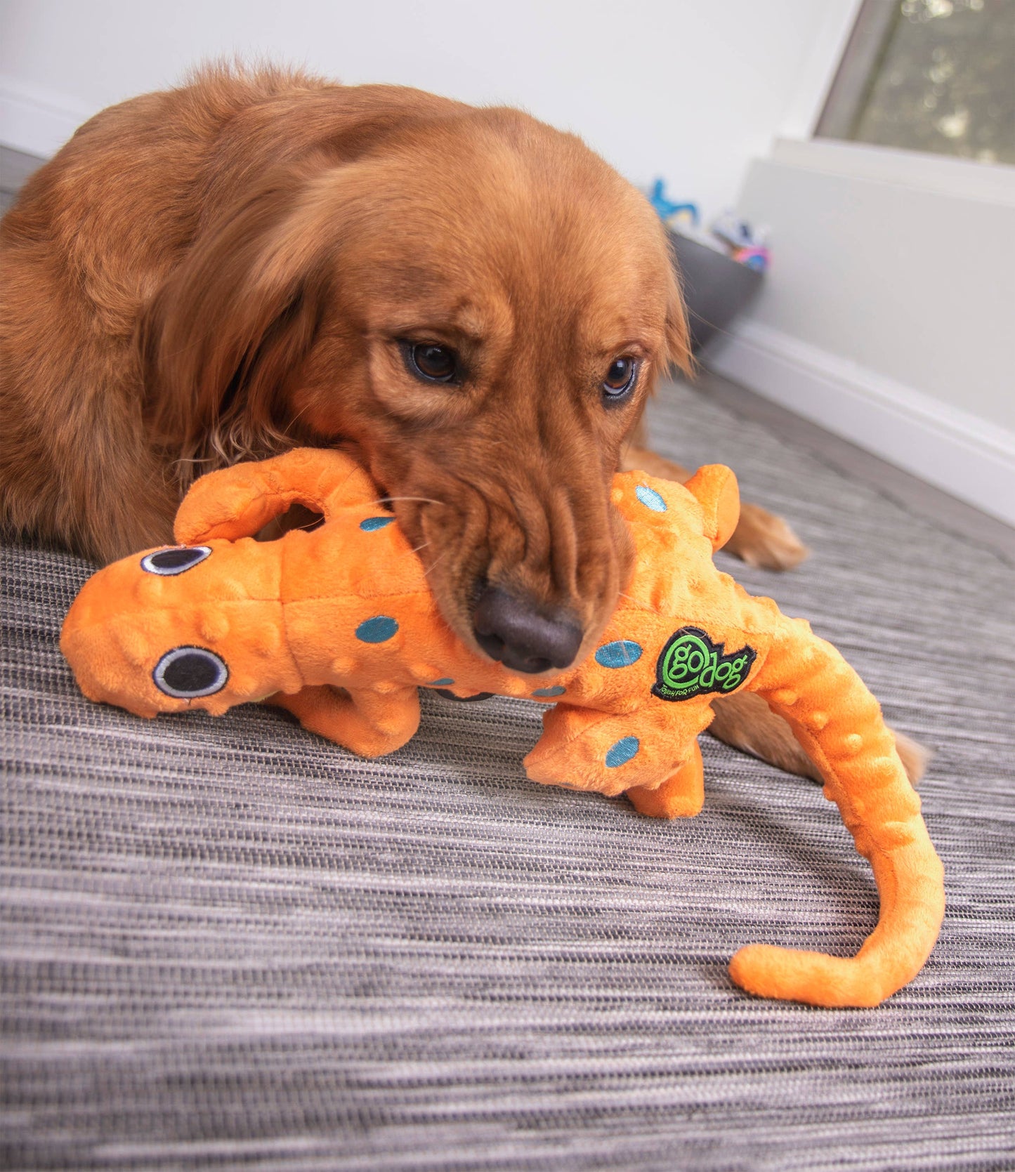 GoDog Amphibianz Gecko Squeaky Plush Dog Toy Large