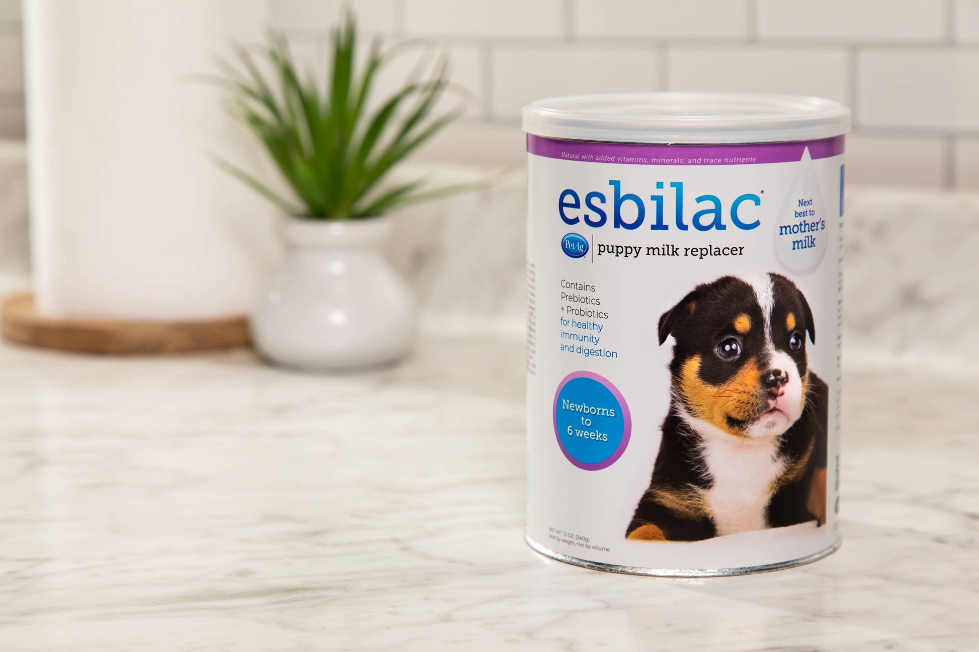 Esbilac Powder, 12 oz. for puppy