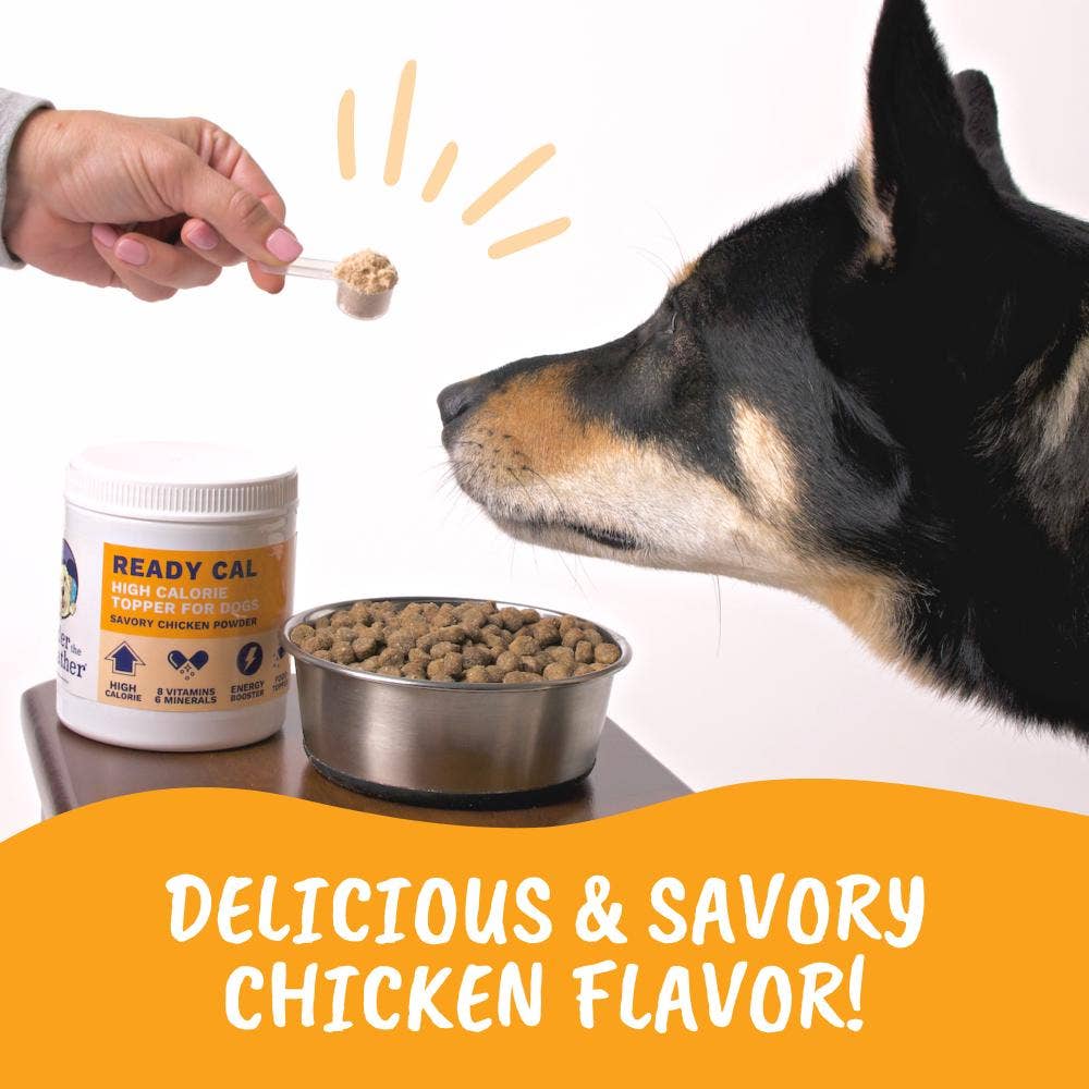 Under the Weather High Calorie Powder for Dogs 10.58oz