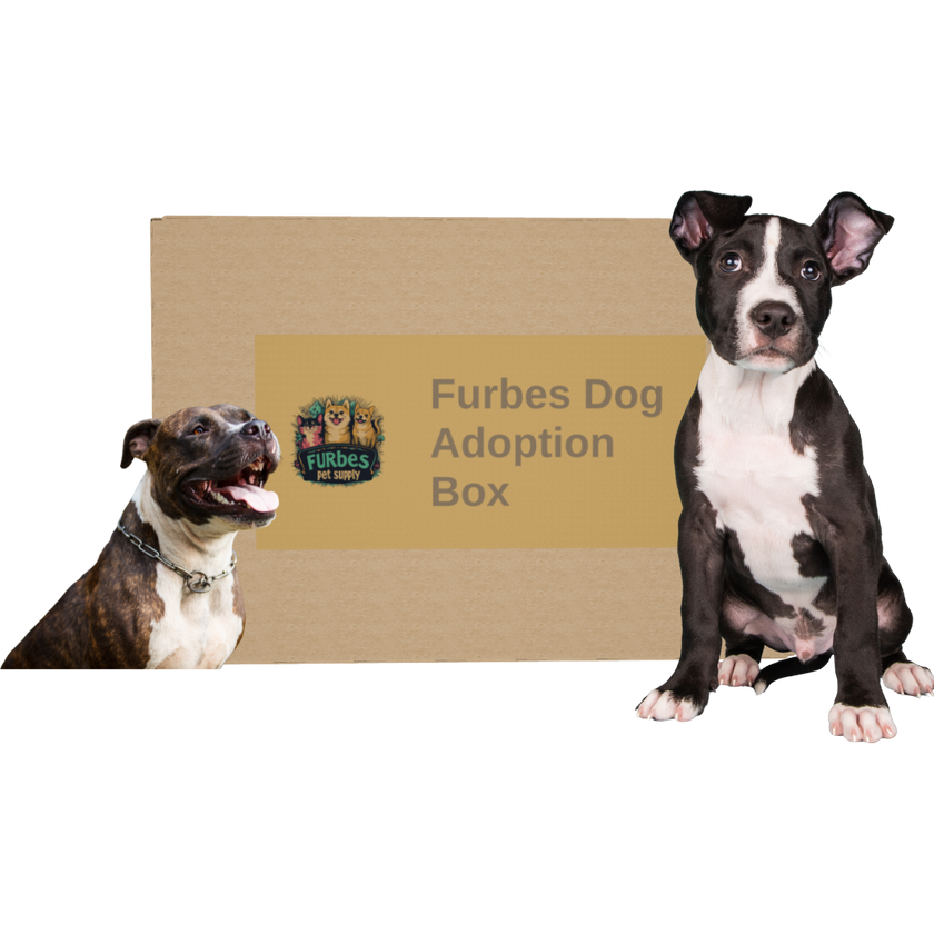 Furbes Dog Adoption Box