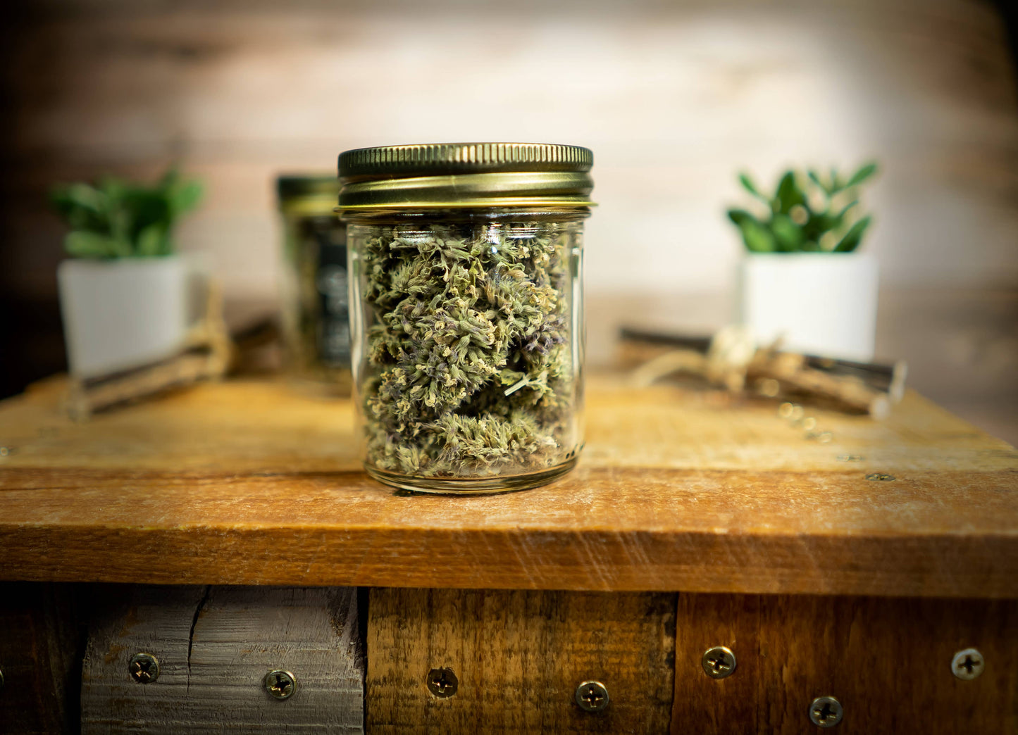 SUBLIME BUDS | Whole Catnip Flowers | Elevated Pet Gift