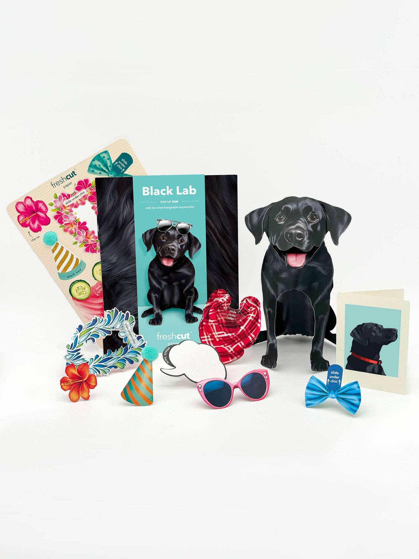 Black Lab (1 Pop-up Greeting Card)