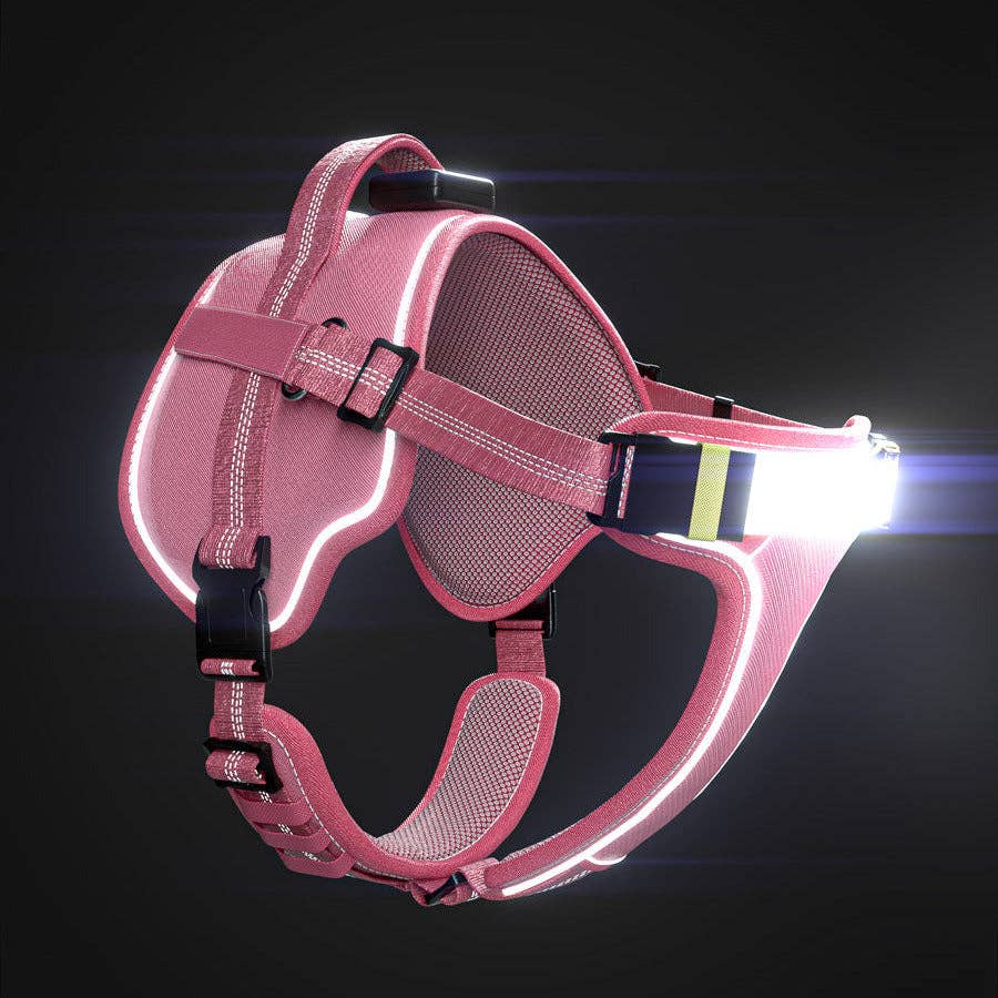 Lumi One - Lighting Your Path at Night!