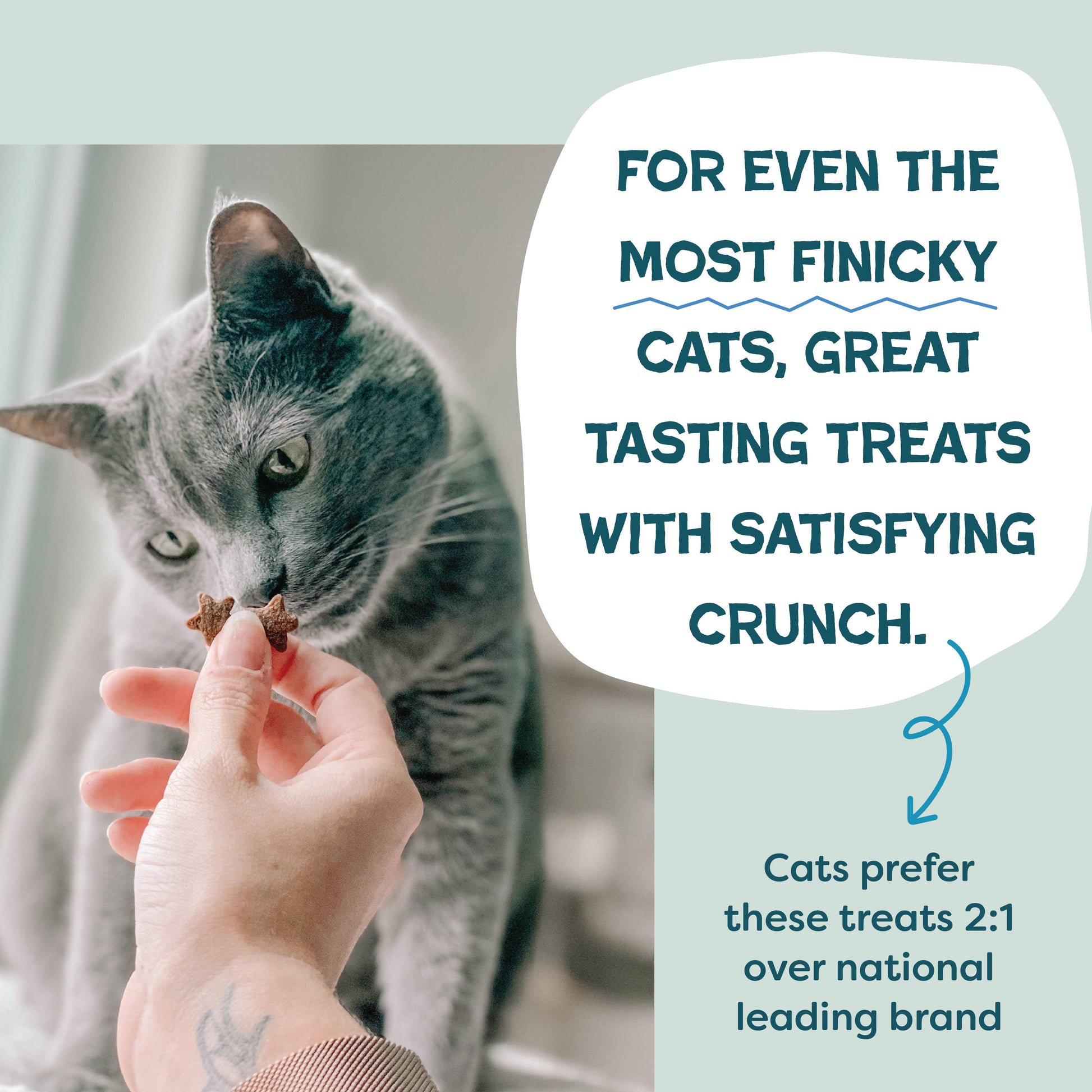 Catnip N Chill Crunchy Cat - Tuna