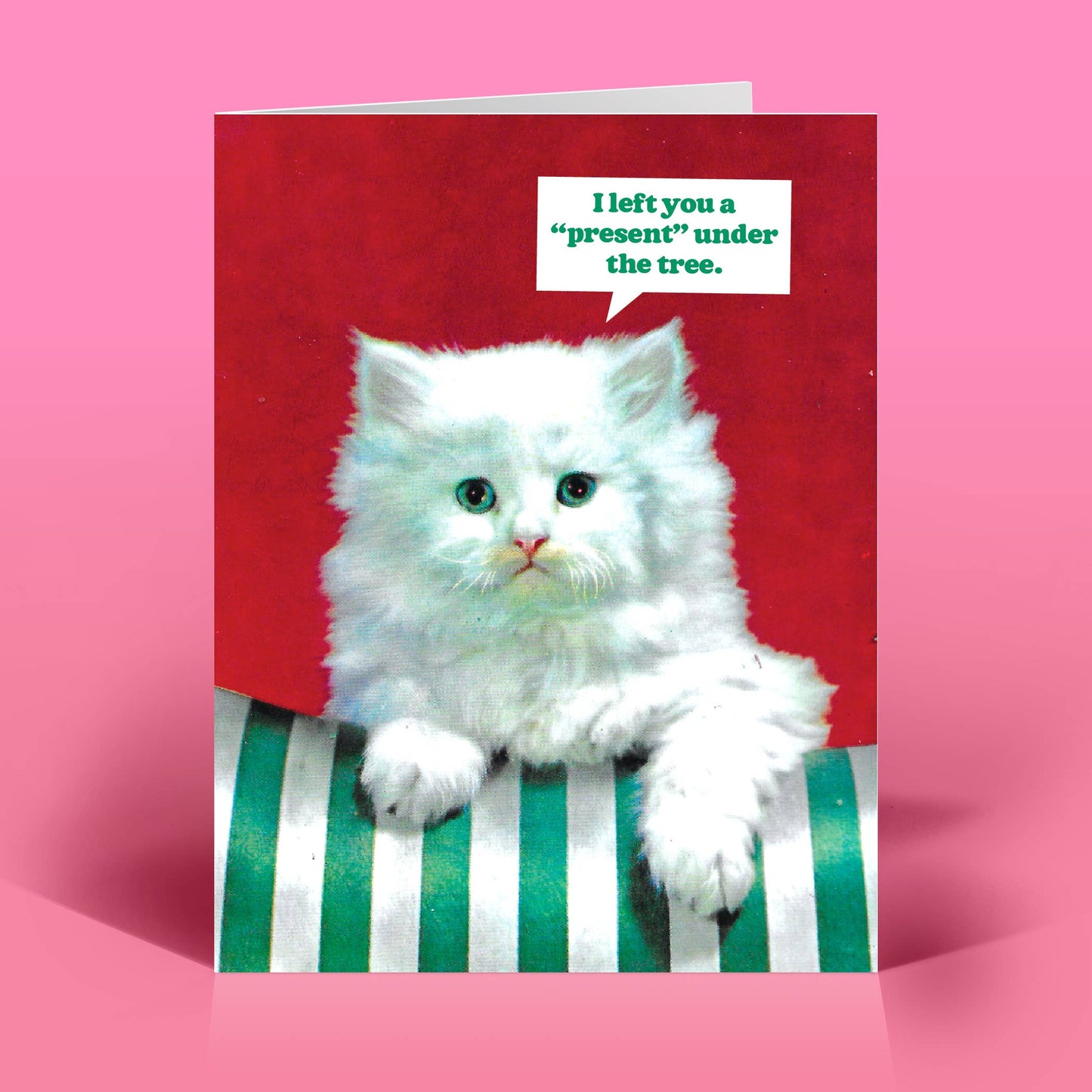 The Raccoon Society - I Left You A Present Christmas Card