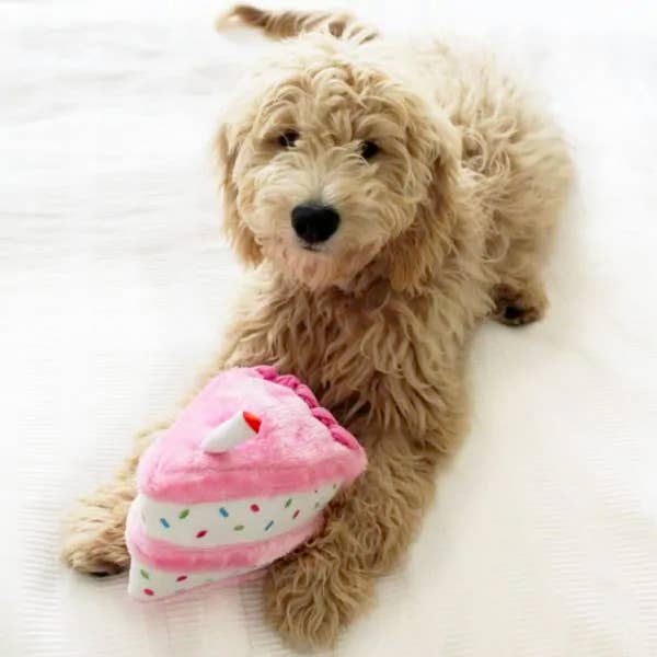 ZippyPaws Birthday Cake Pink