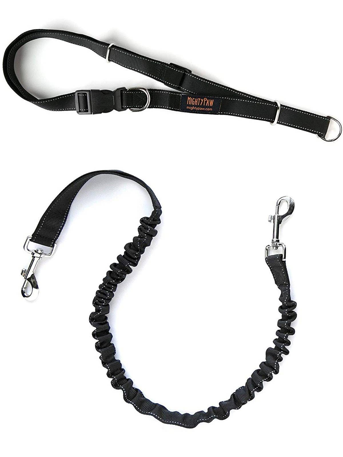 Hands Free Bungee Leash Set