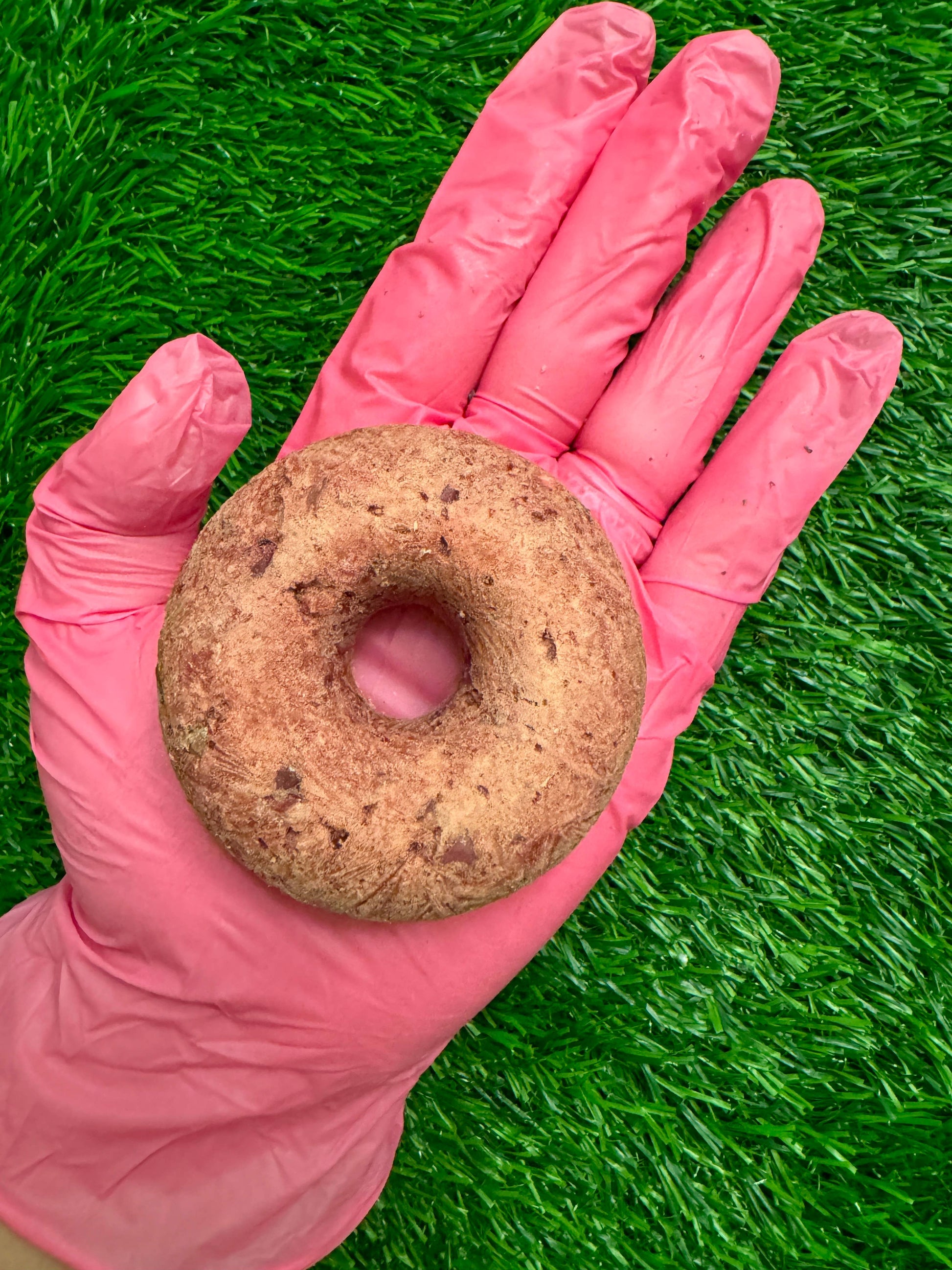 Donut - Turkey & Cran - Freeze-Dried Treat for Dogs & Cats