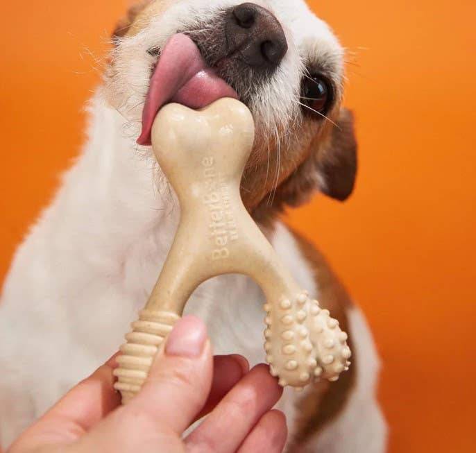 BetterBone Medium Classic Dog Chew Toy Small