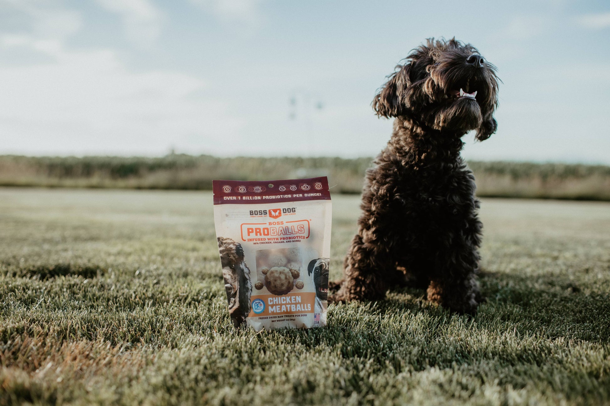 Boss Dog & Boss Cat Proballs - Beef Medallions (3 oz)