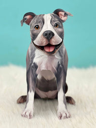 Gray Pitbull 1ct