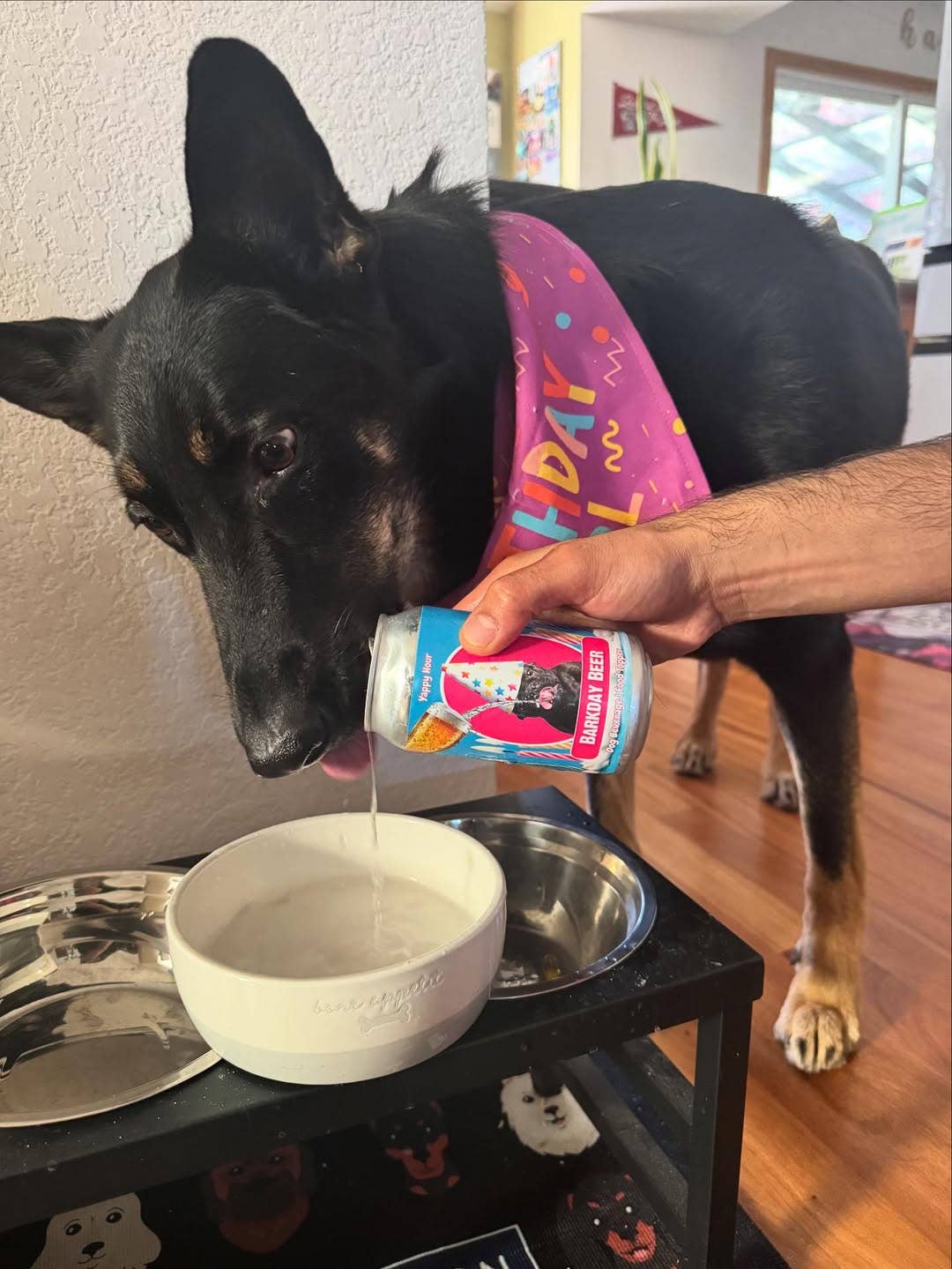 Barkday Beer |Watermelon