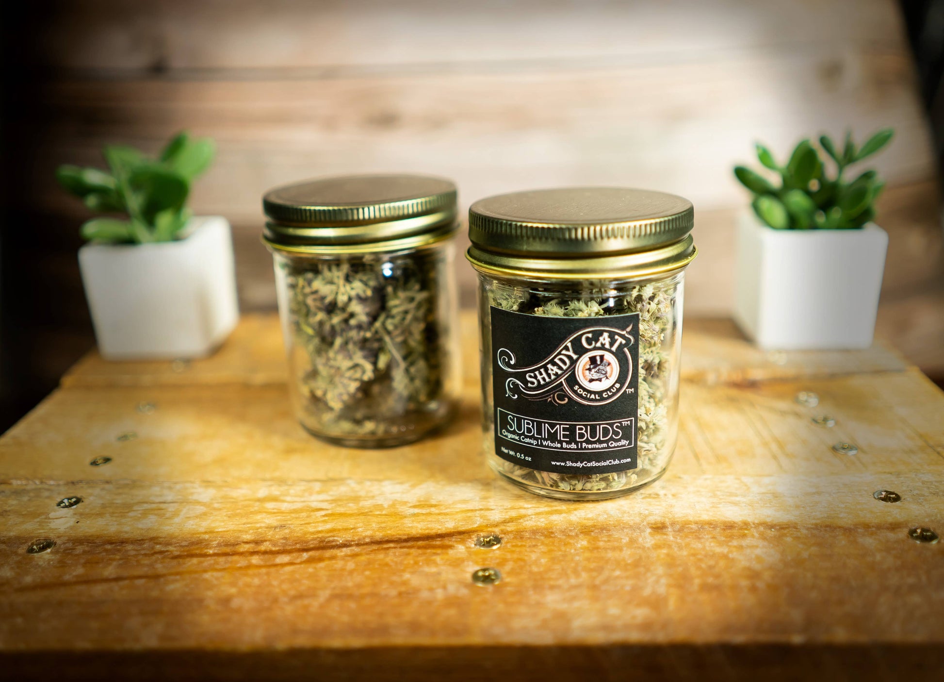 SUBLIME BUDS | Whole Catnip Flowers | Elevated Pet Gift