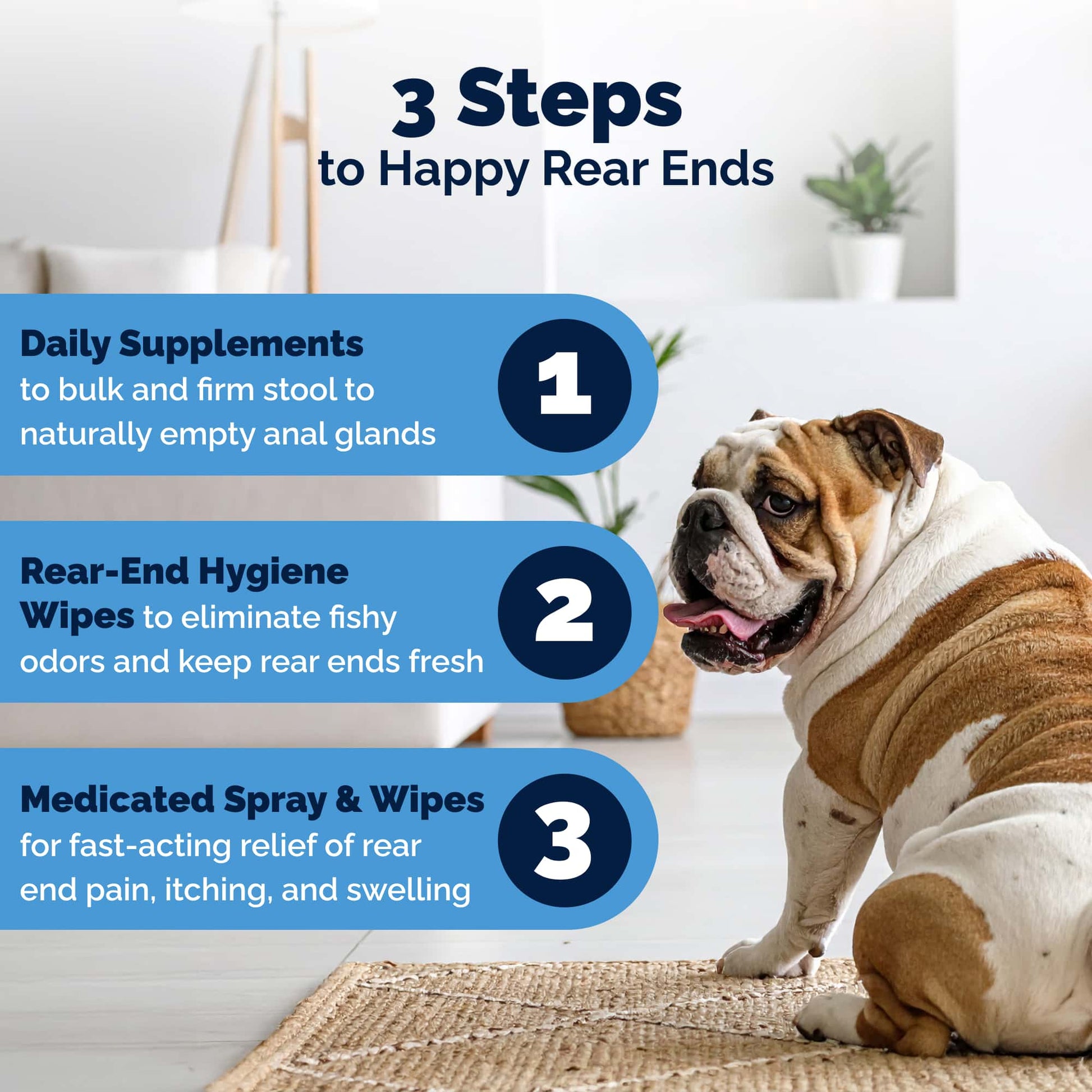 Glandex Rear End Pet Wipes Package