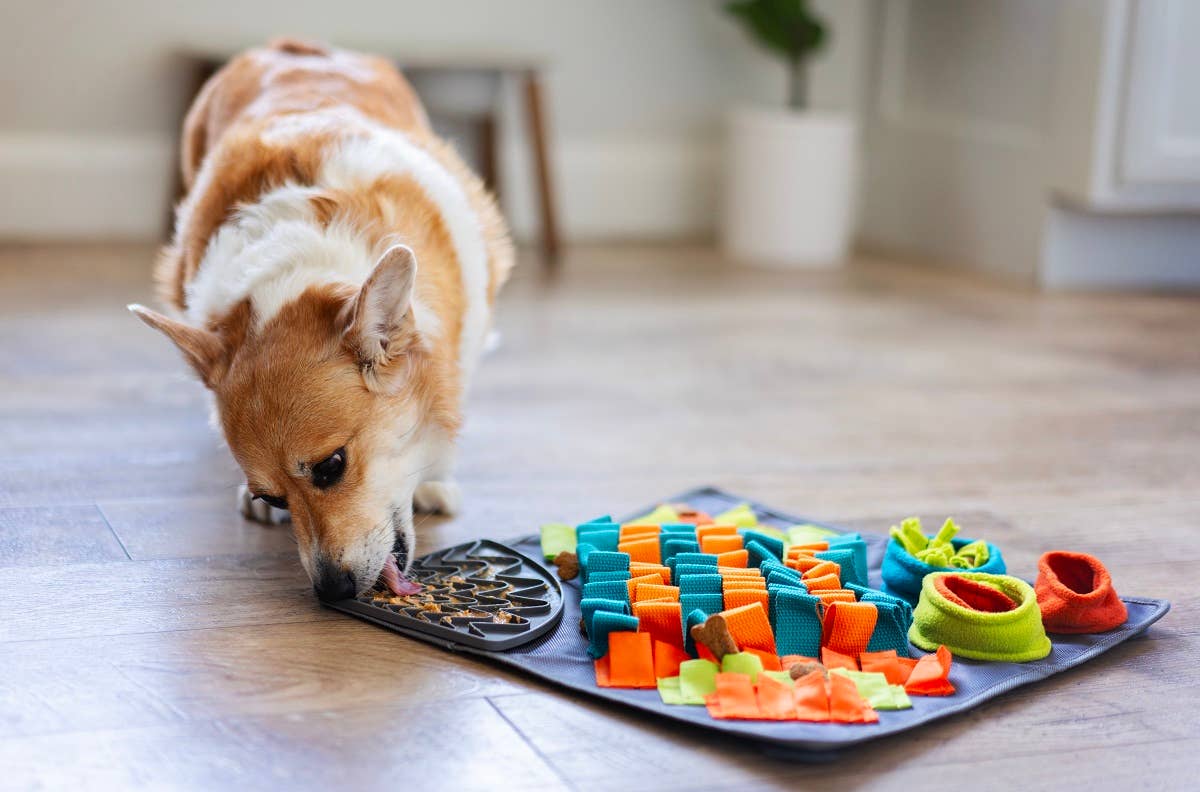 Messy Mutts Square Forage/Snuffle Mat 16" with Suction