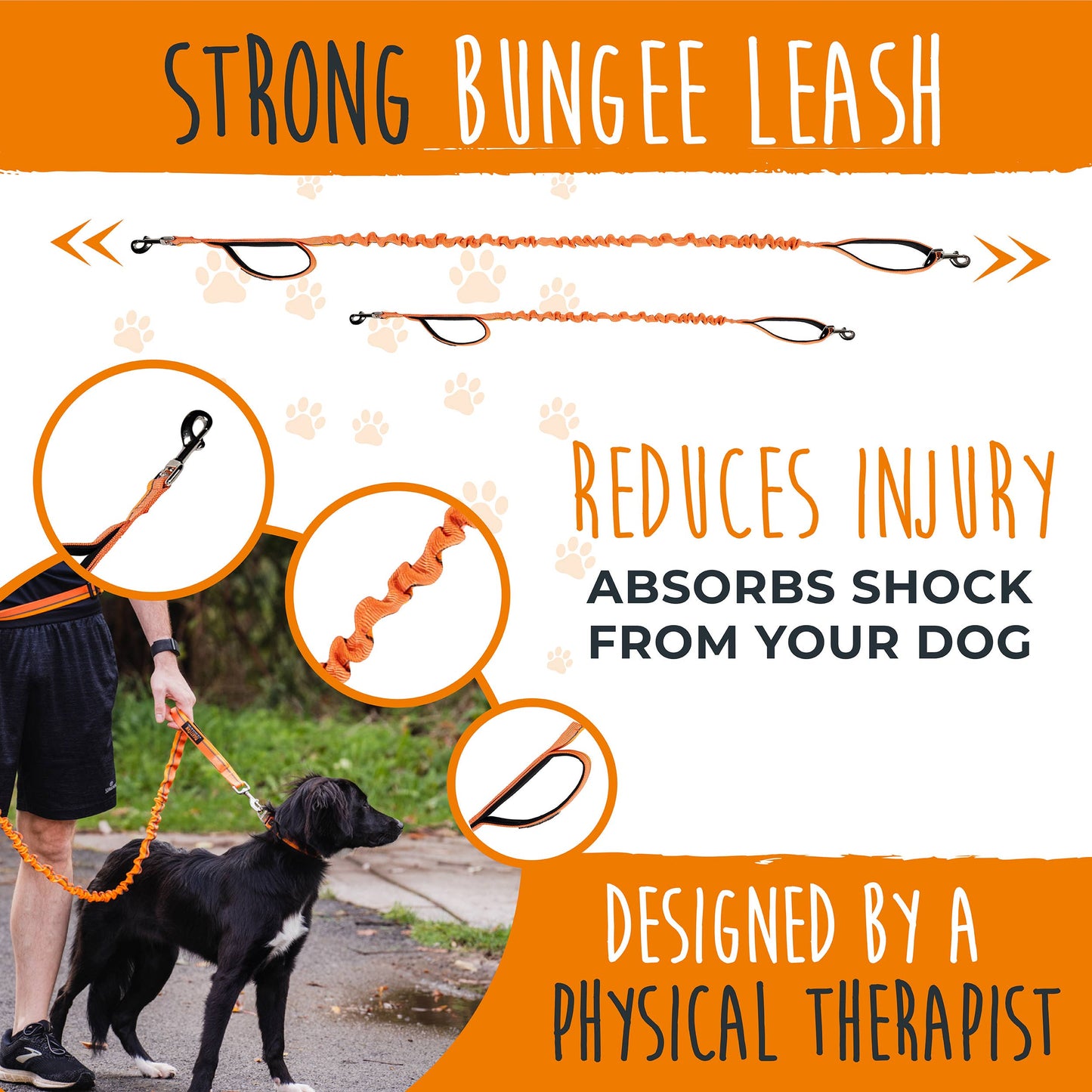 Hands Free Bungee Leash 2.0