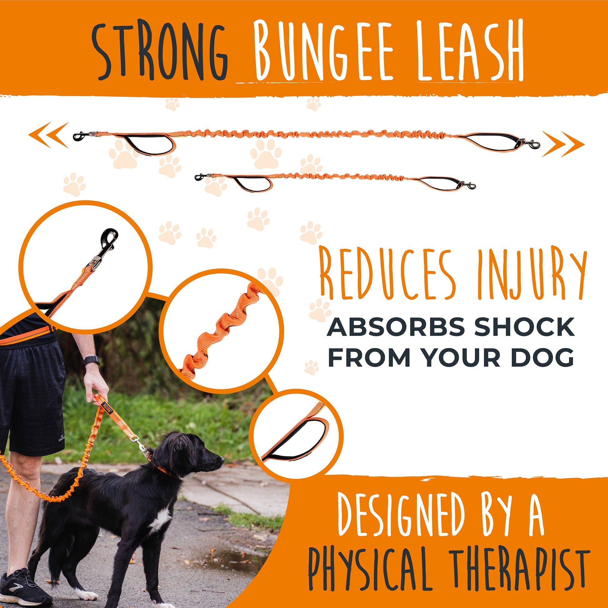 Hands Free Bungee Leash 2.0