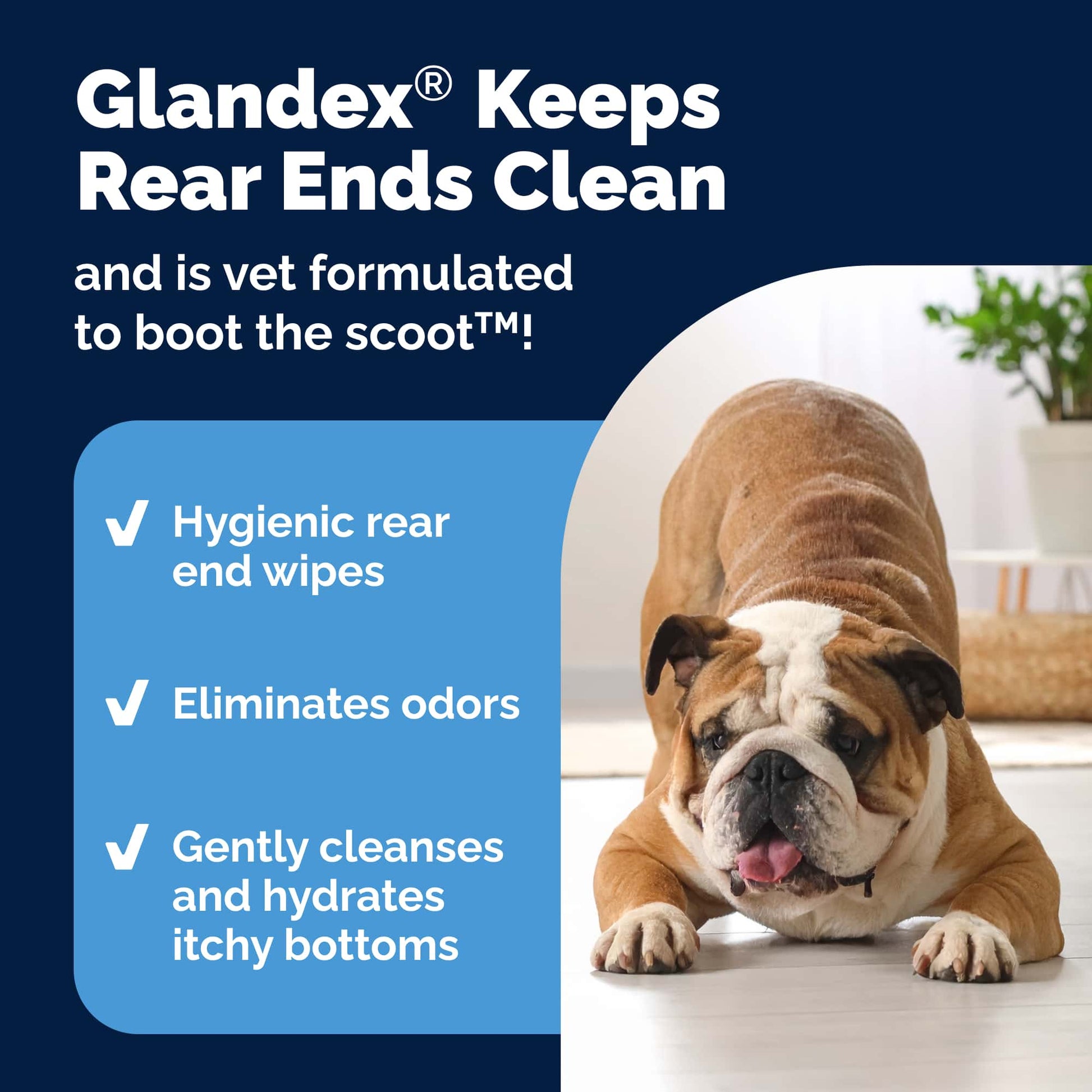 Glandex Rear End Pet Wipes Package