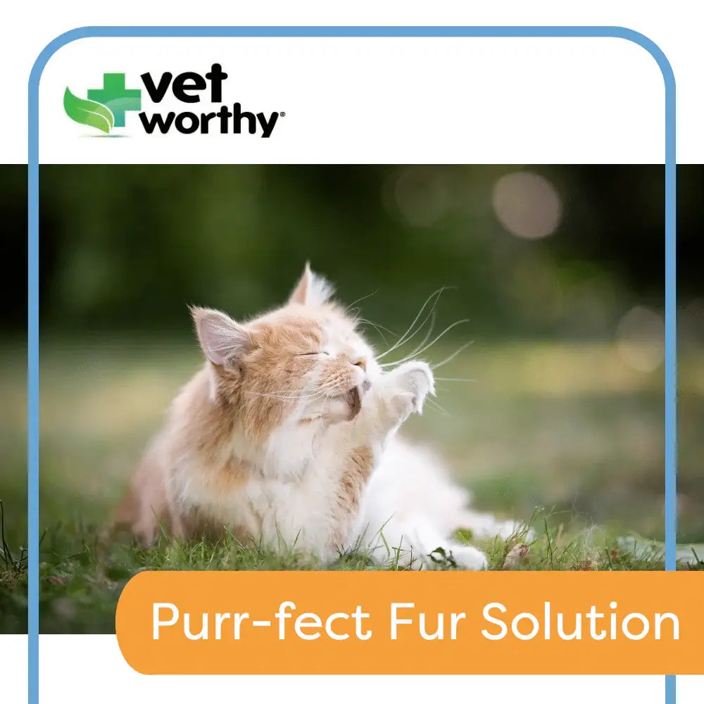 Vet Worthy Hairball Support w/ Pumpkin Soft Chews Feline 60c