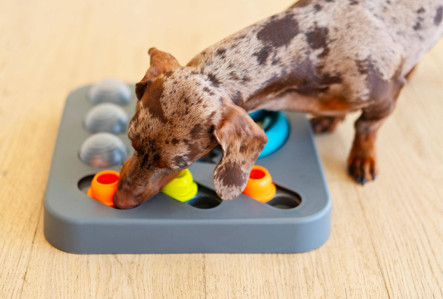 Messy Mutts Flip'n Slide Puzzler, Medium, 12.5" x 12.5",Grey