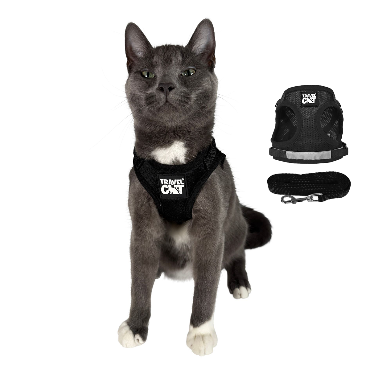 "The True Adventurer" Reflective Cat & Kitten Harness